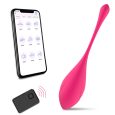 Remote & App Vibrator - 9 Modes